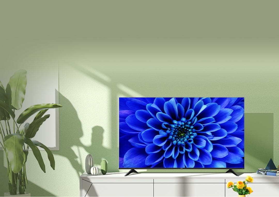 ハイセンス 65インチ 4K液晶65E6G 65V