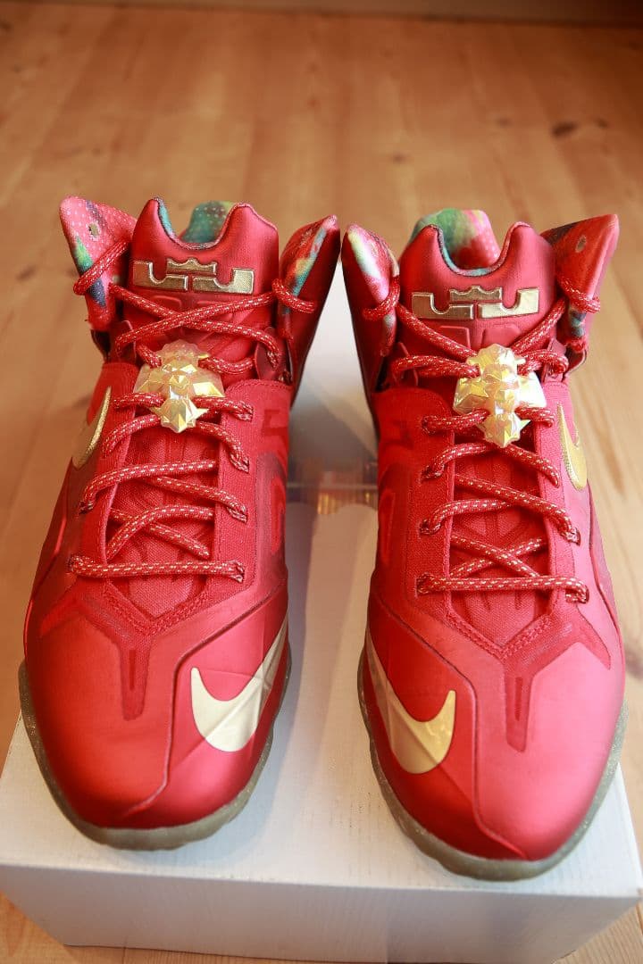 Nike バッシュ　REBRON XI ELITE SERIES