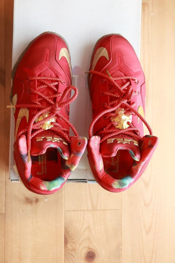 Nike バッシュ　REBRON XI ELITE SERIES