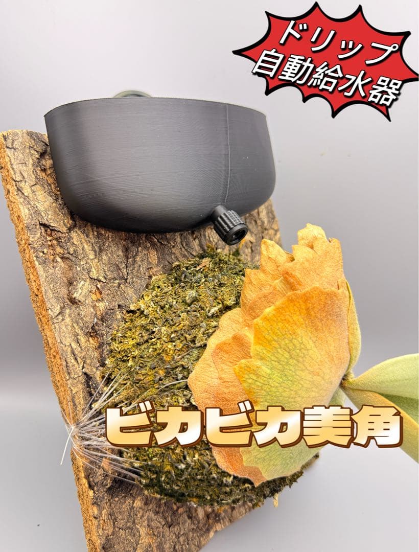 はなはなはなこ　ビカクシダ　板付専用　ドリップ式掛け給水器 20個