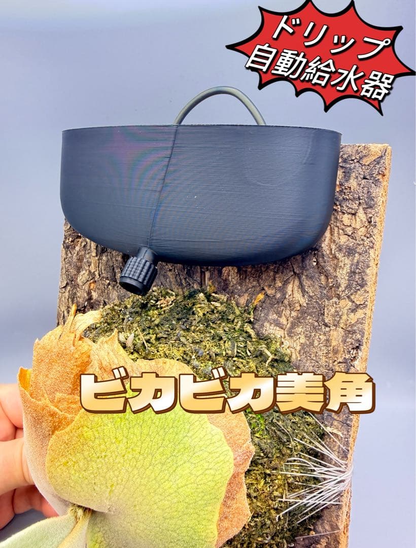 はなはなはなこ　ビカクシダ　板付専用　ドリップ式掛け給水器 20個