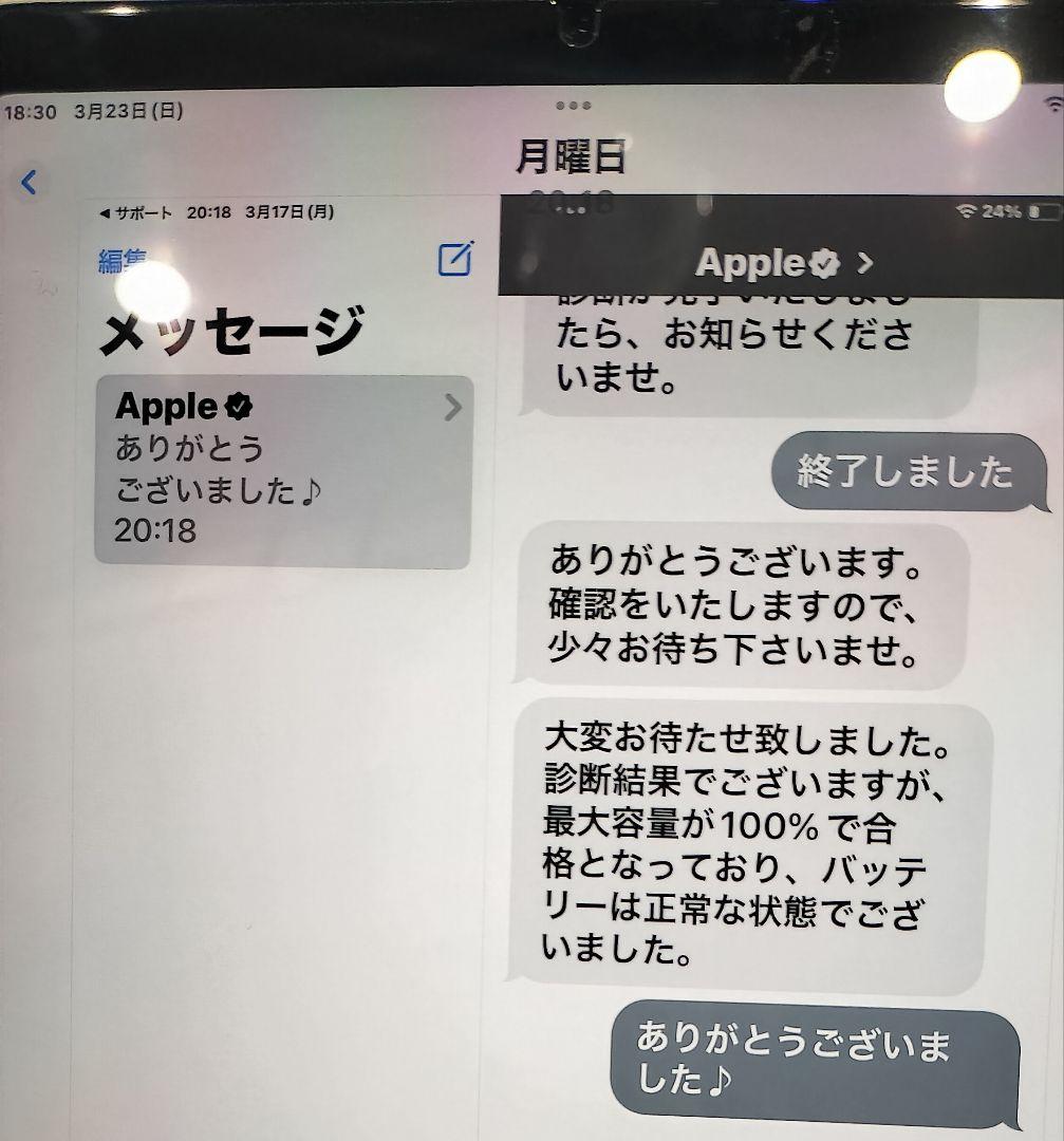 iPad mini (第6世代) スペースグレー 本体 バッテリー100%