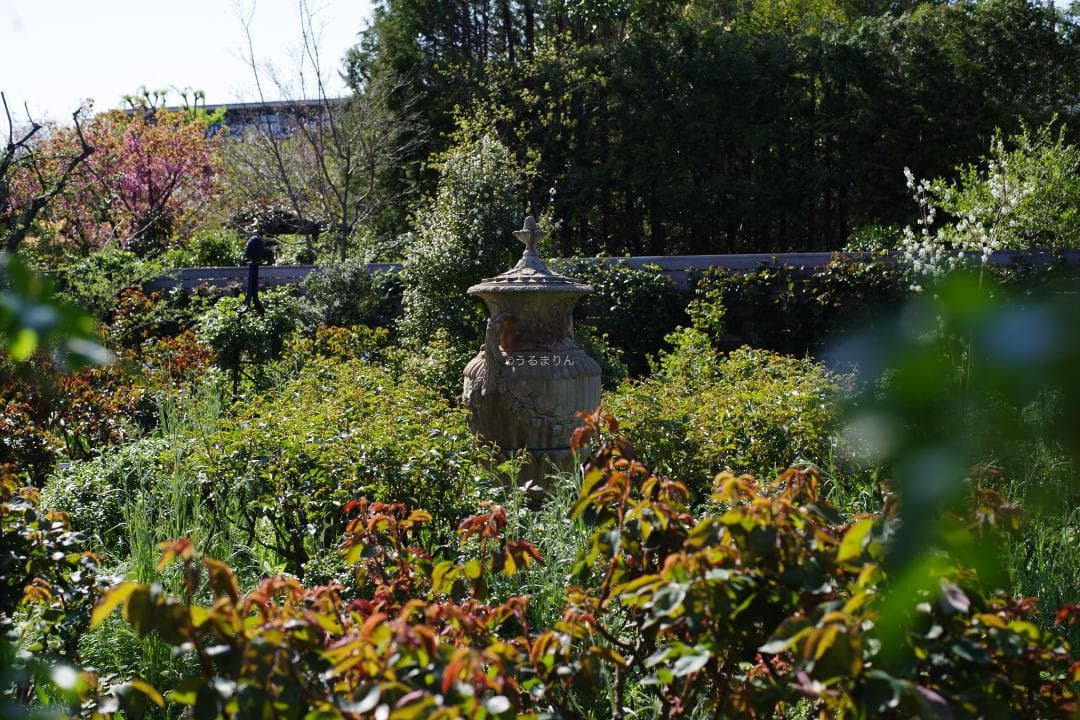 幻のZK！Classicプラナー最終モデルPlanar 50mm F1.4 ZK