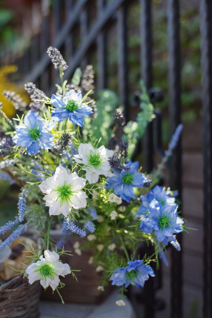 幻のZK！Classicプラナー最終モデルPlanar 50mm F1.4 ZK