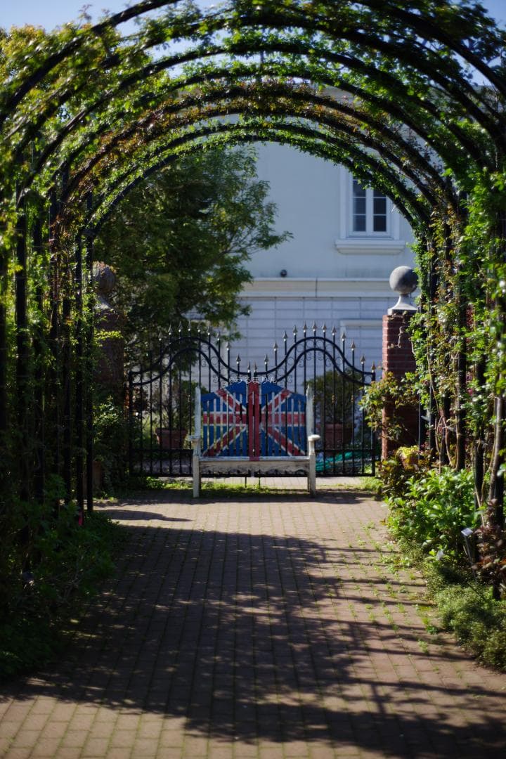 幻のZK！Classicプラナー最終モデルPlanar 50mm F1.4 ZK