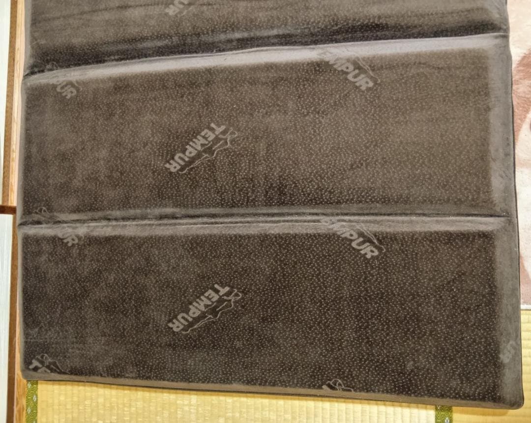 ★期間限定★テンピュール 低反発マットレス フトンデラックス (シングル)