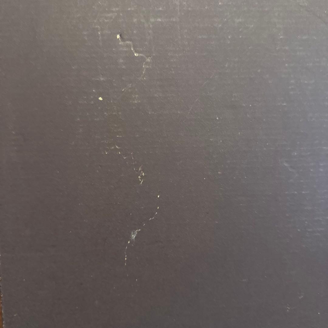 CELINE セリーヌ タオルケット 2枚入り 140×190 マカダム総柄