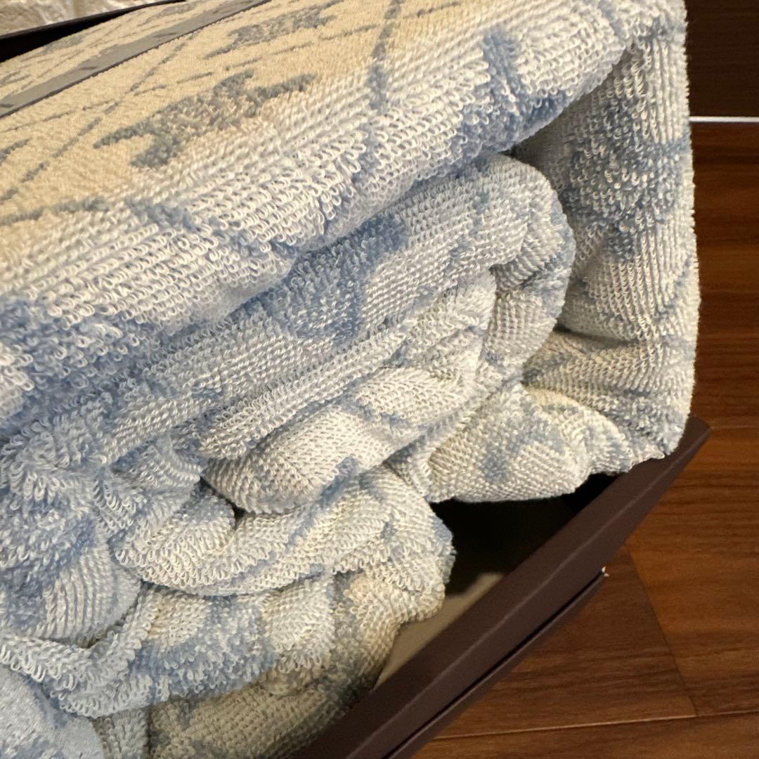 CELINE セリーヌ タオルケット 2枚入り 140×190 マカダム総柄