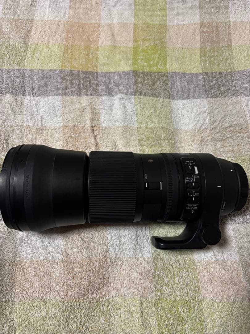 Canon R10・SIGMA 150-600mm (1月限定)