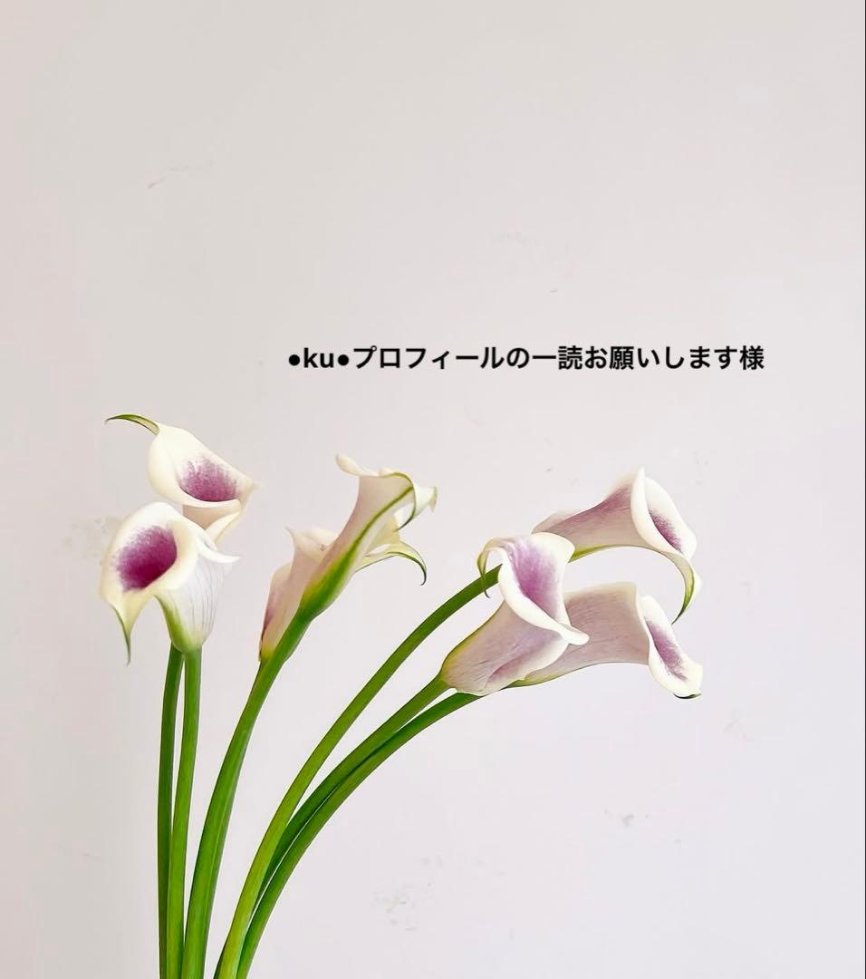 ●ku●プロフィールの一読お願いします　様