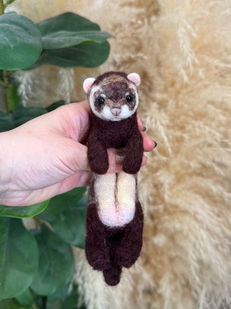 あおいの　だっこして！フェレット