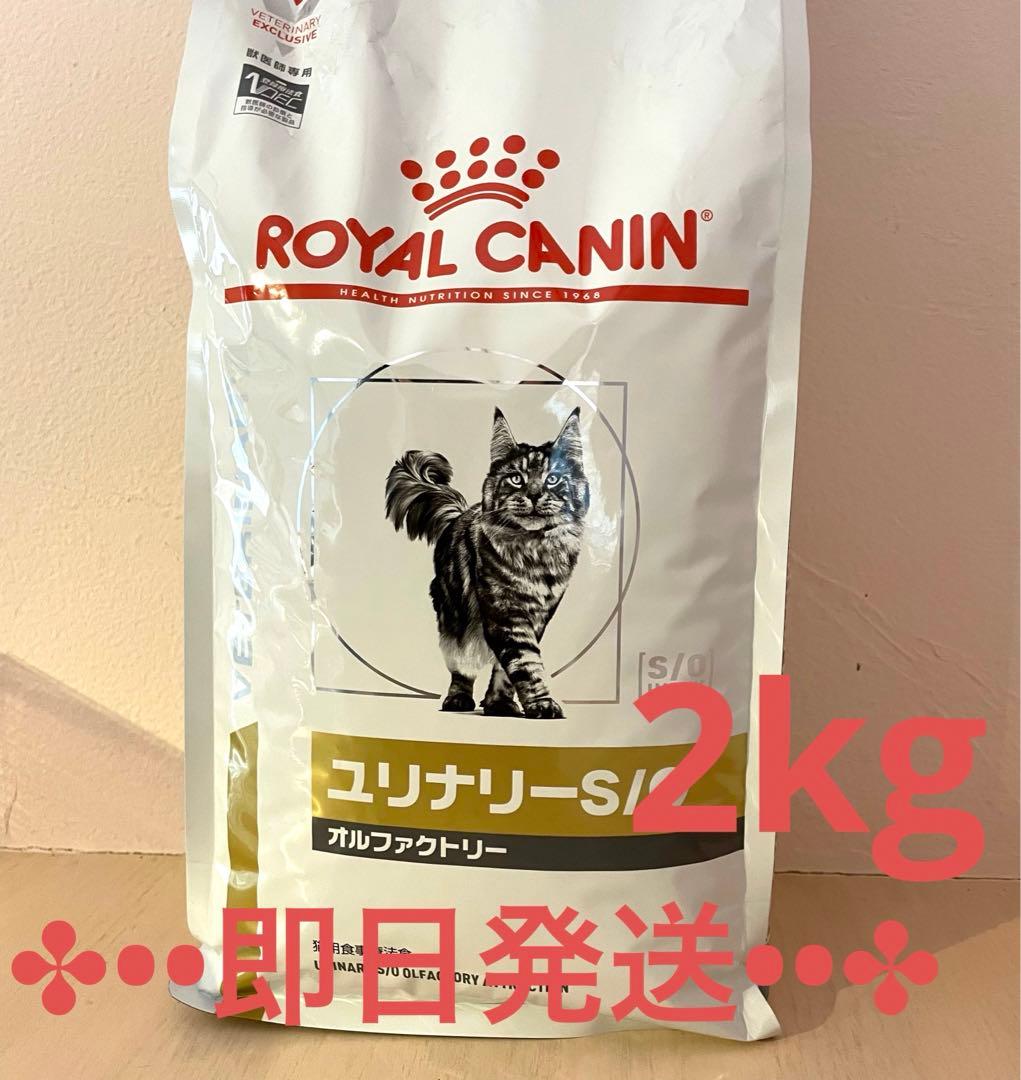 【新品】ロイヤルカナン ユリナリーS/O オルファクトリー 猫用 2kg 1袋