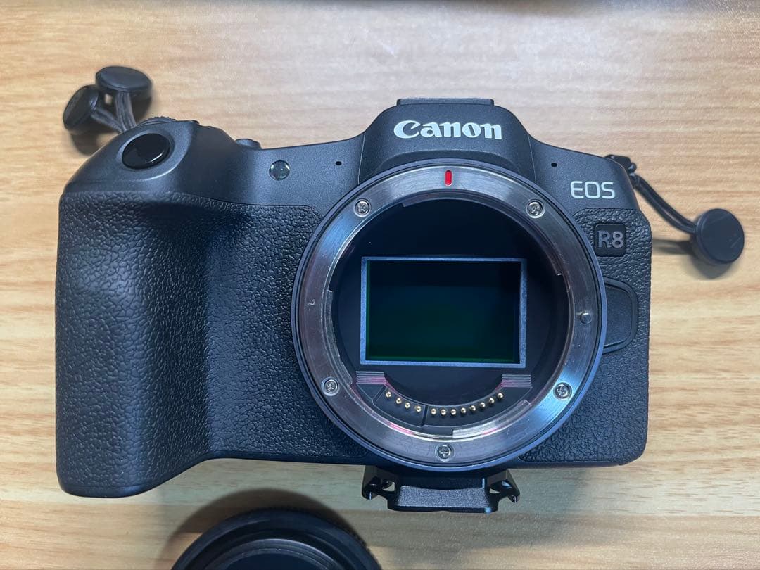 Canon EOS R8 ミラーレスカメラ 本体 その他付属品多数