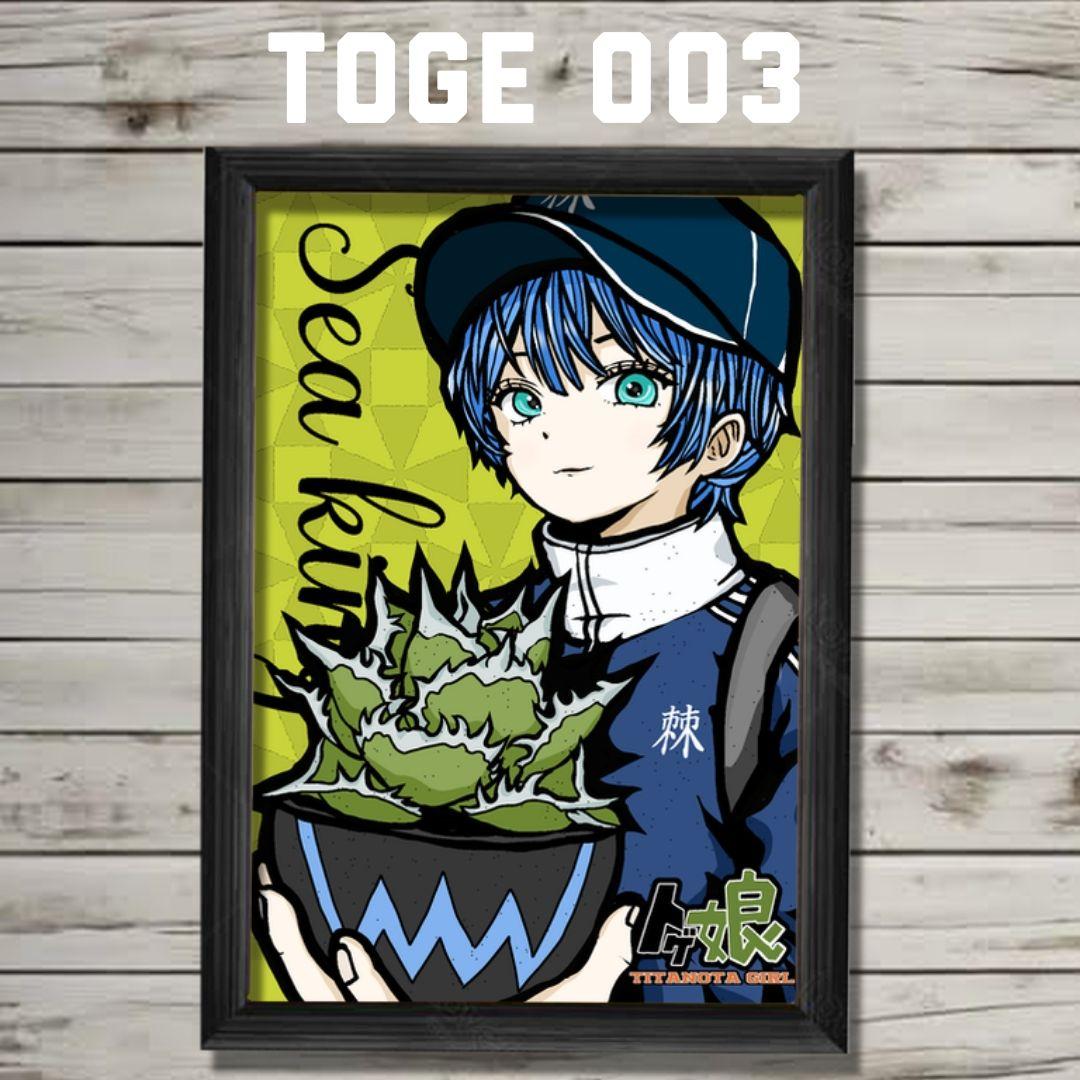 【特】棘福袋16枚セットまさ02