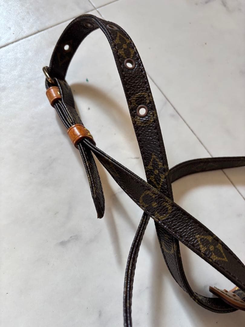 Louis Vuitton ダヌーブ M45266 モノグラム ルイヴィトン