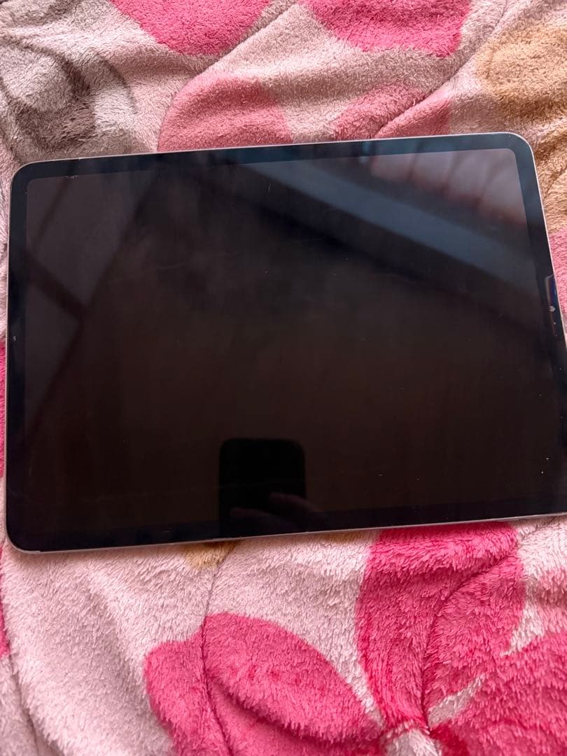 iPadpro11インチ 第1世代