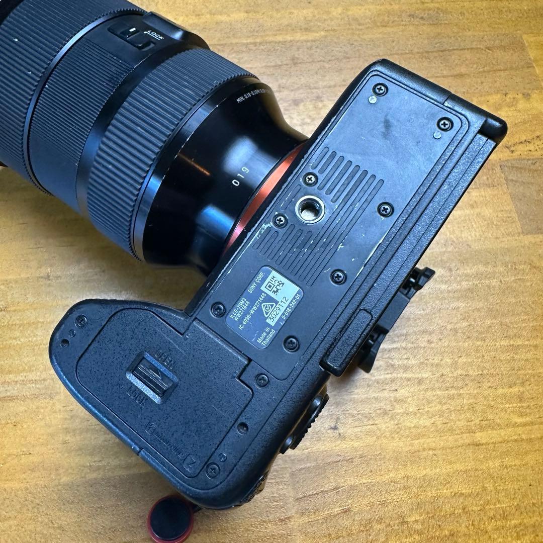 【最終値下げ】SONY α7SⅢ ILCE-7SM3 リグ付き