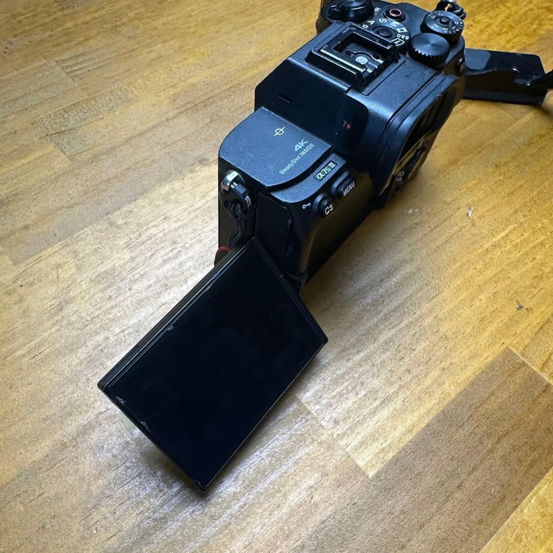 【最終値下げ】SONY α7SⅢ ILCE-7SM3 リグ付き