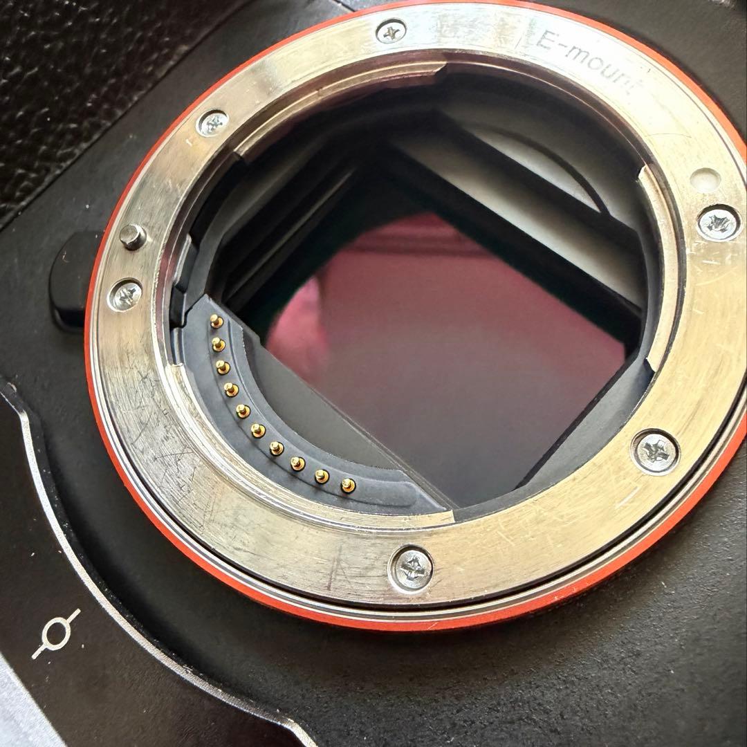 【最終値下げ】SONY α7SⅢ ILCE-7SM3 リグ付き