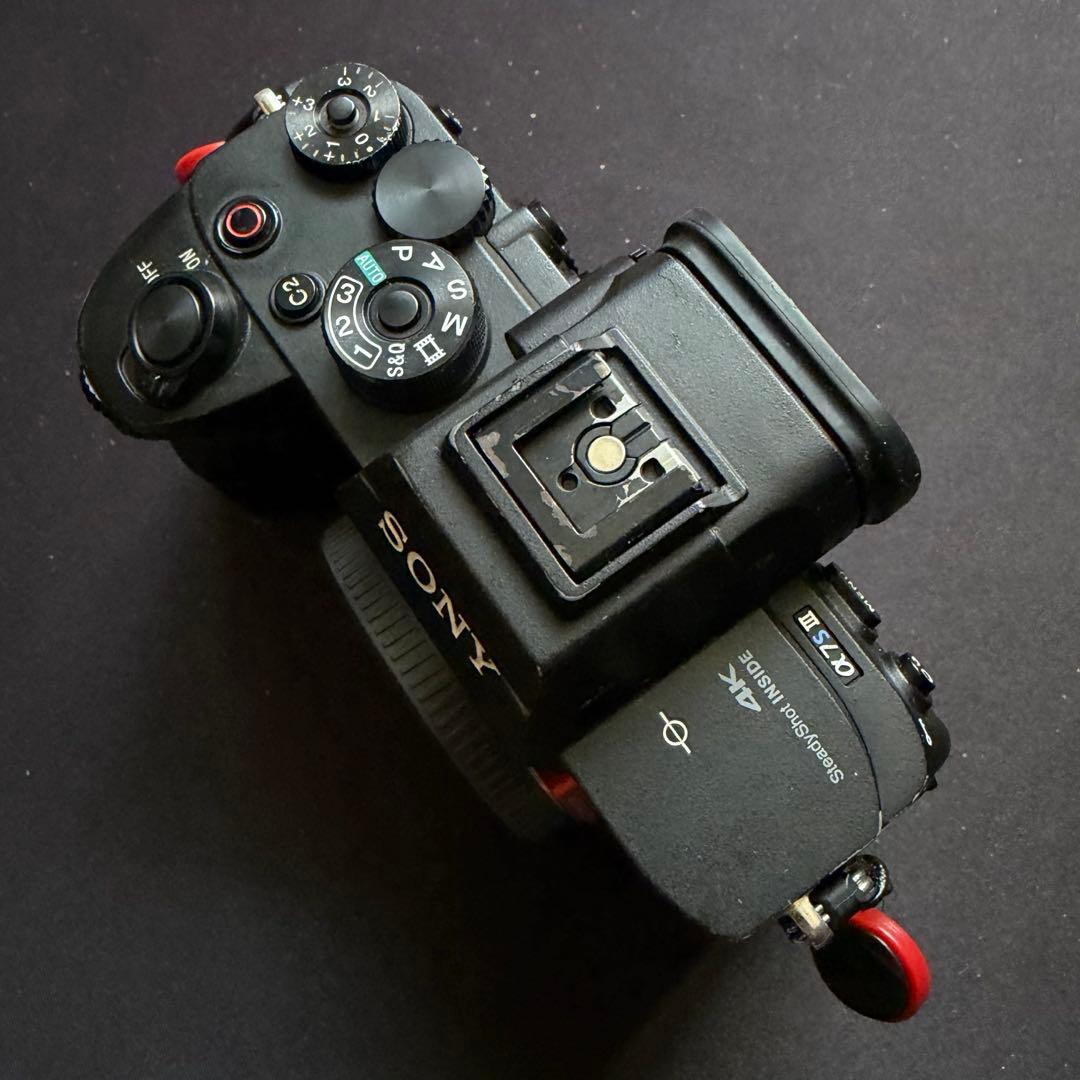 【最終値下げ】SONY α7SⅢ ILCE-7SM3 リグ付き