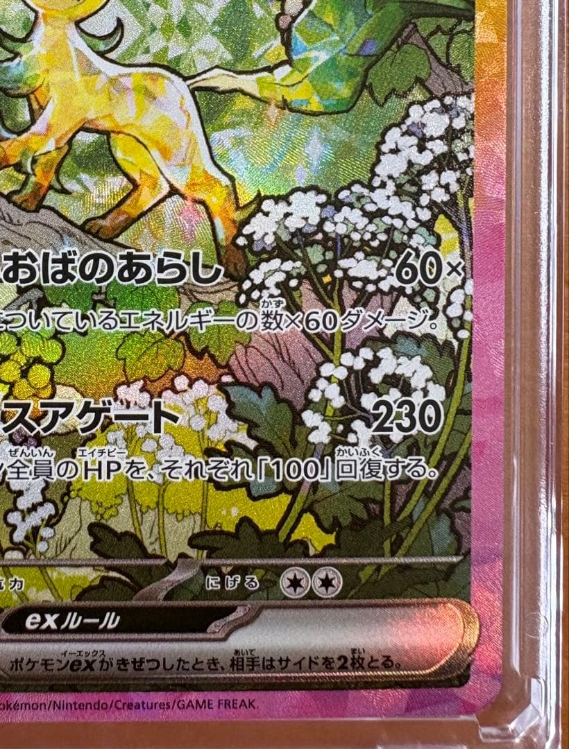 リーフィアex SAR 2枚セット　マグネットローダー付き