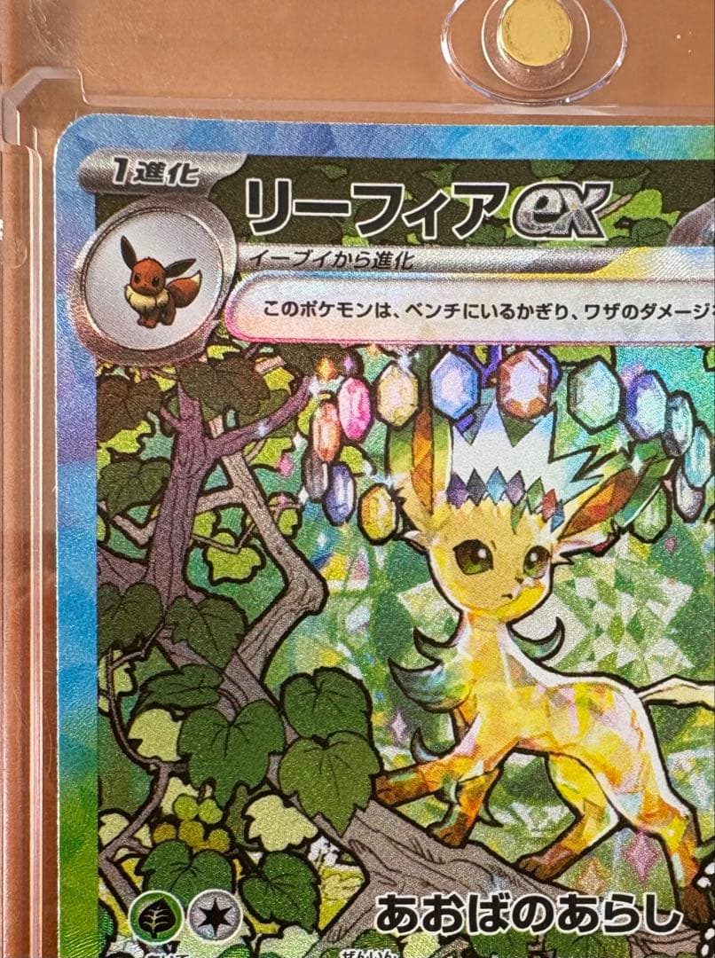 リーフィアex SAR 2枚セット　マグネットローダー付き