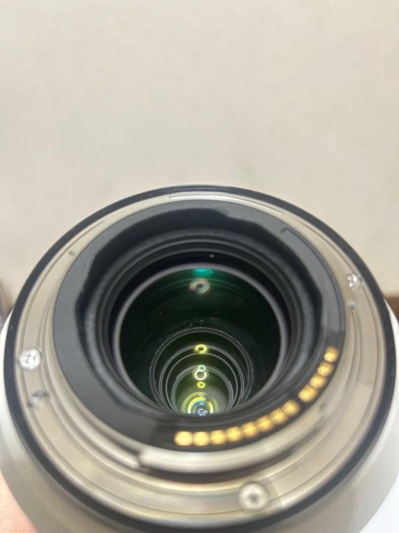 Canon RF 100-500mm F4.5-7.1 L IS USMレンズ