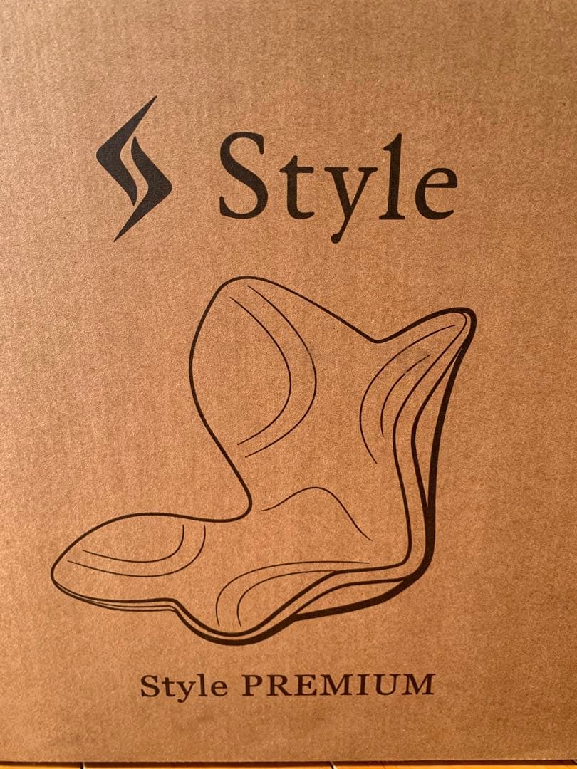 Style PREMIUM 骨盤・姿勢矯正クッション ブラック