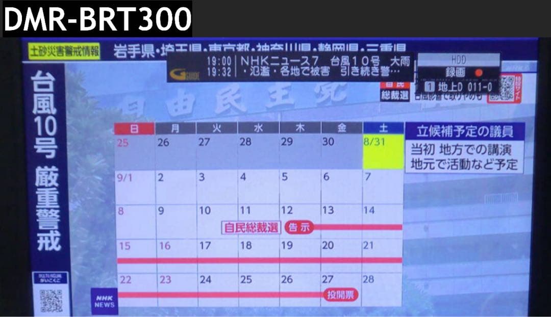 Panasonic DMR-BRT300 ブルーレイレコーダー