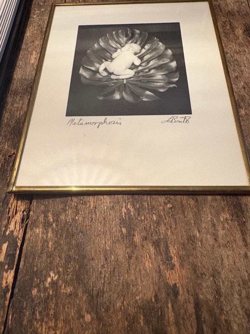 Larry LaBonte写真集+直筆サイン入額装写真アート本