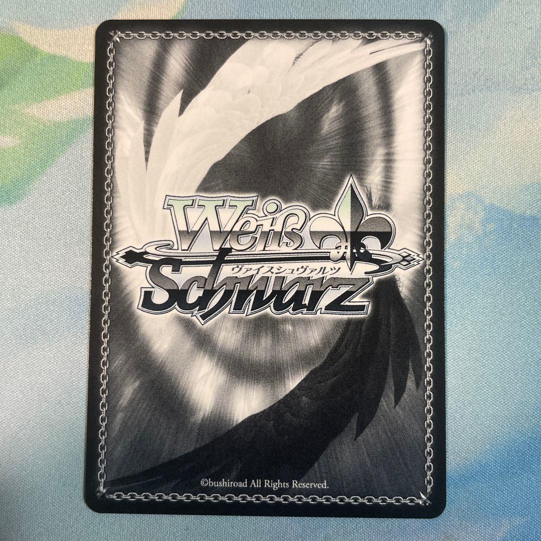 ヴァイスシュヴァルツ　“白い稲妻”タマモクロス SSP サイン