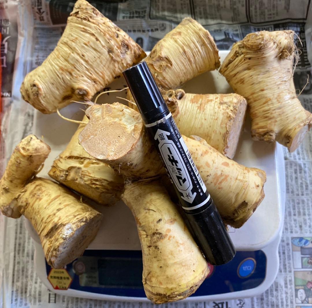 北海道産 山わさび 5kg