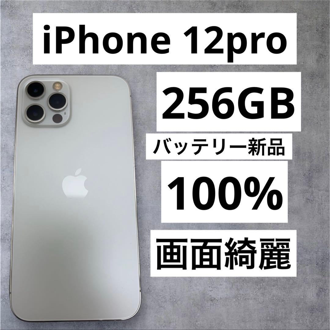 早い者勝ち　[SIMフリー]Apple iPhone 12pro 256GB
