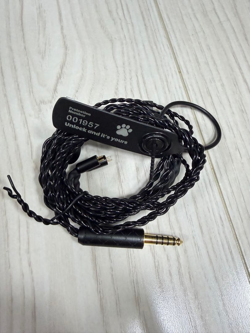 最終値下げ　VISION EARS PHÖNIX Universal Fit