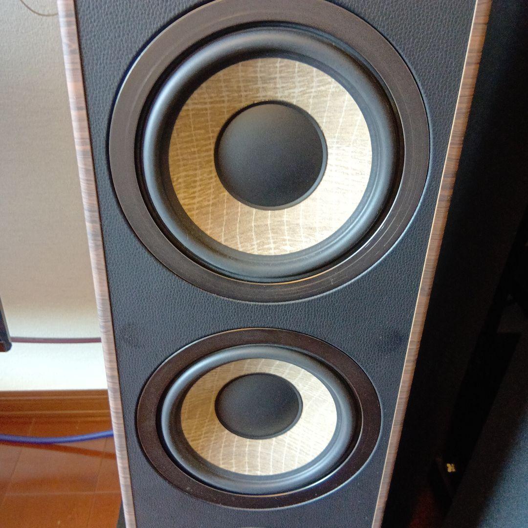 【杏子2021 プロフ必読】Focal Aria 926 NY 1本（右）