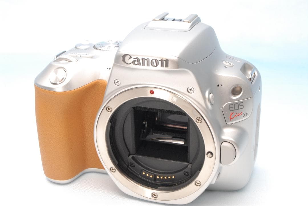 ✨極美品✨キヤノン EOS Kiss X9 希少 シルバー バッテリー劣化無し