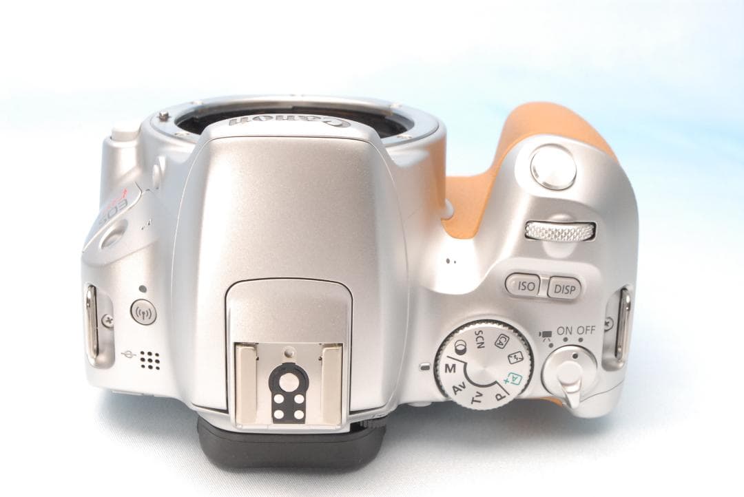 ✨極美品✨キヤノン EOS Kiss X9 希少 シルバー バッテリー劣化無し