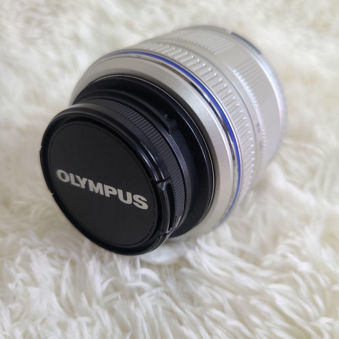 オリンパス OLYMPUS PEN E-PL1S ミラーレス一眼 デジタルカメラ