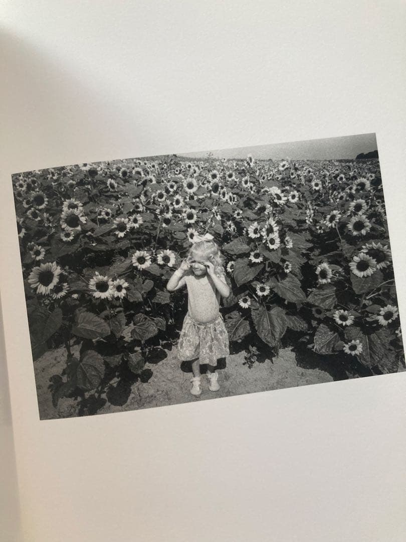 洋書 Jesse Lenz the seraphim