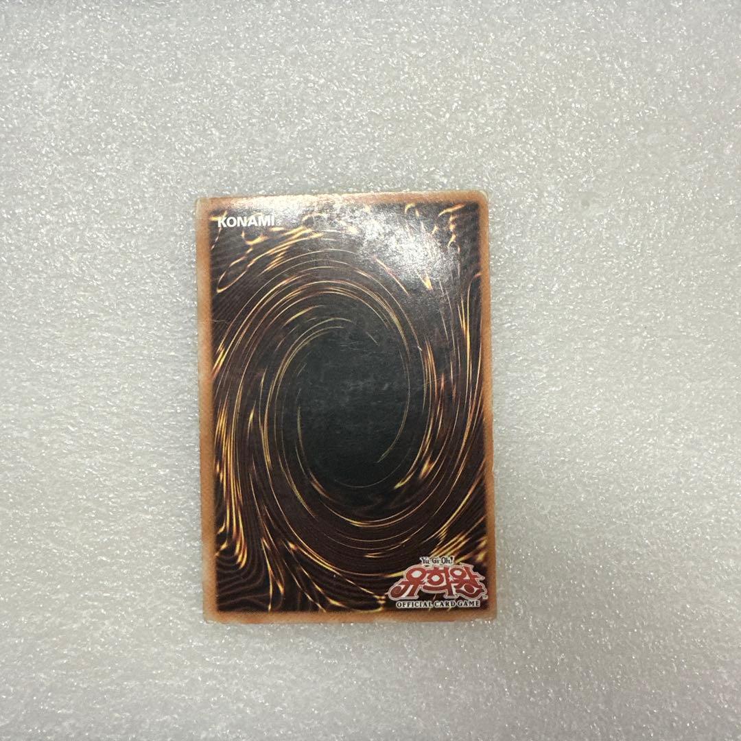 し*せ様 韓国版 ブラック・ローズ・ドラゴン ホログラフィックレア