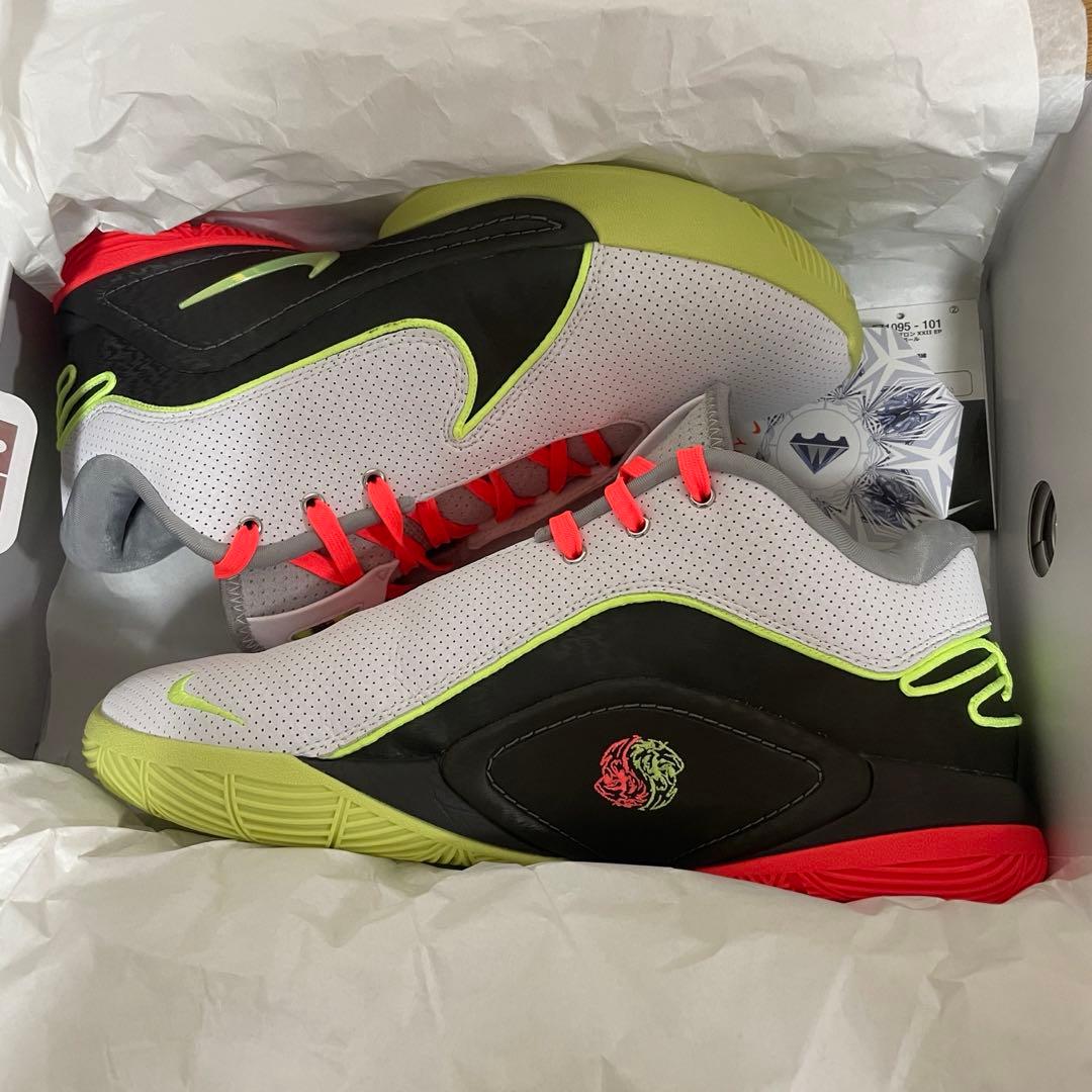 t*a様 ナイキ レブロン22 Nike Lebron 22 EP バッシュ