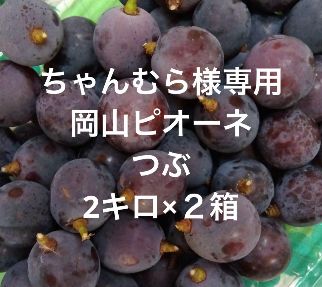 ちゃんむら様　岡山ピオーネ　切り落とし粒2キロ×２箱