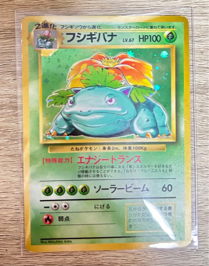 ポケモンカード　初版　旧裏　フシギダネ　フシギソウ　フシギバナ　3枚セット