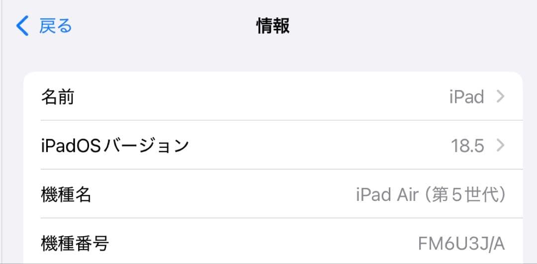 【ピエトロドレッシングうまい】iPad Air 第5世代