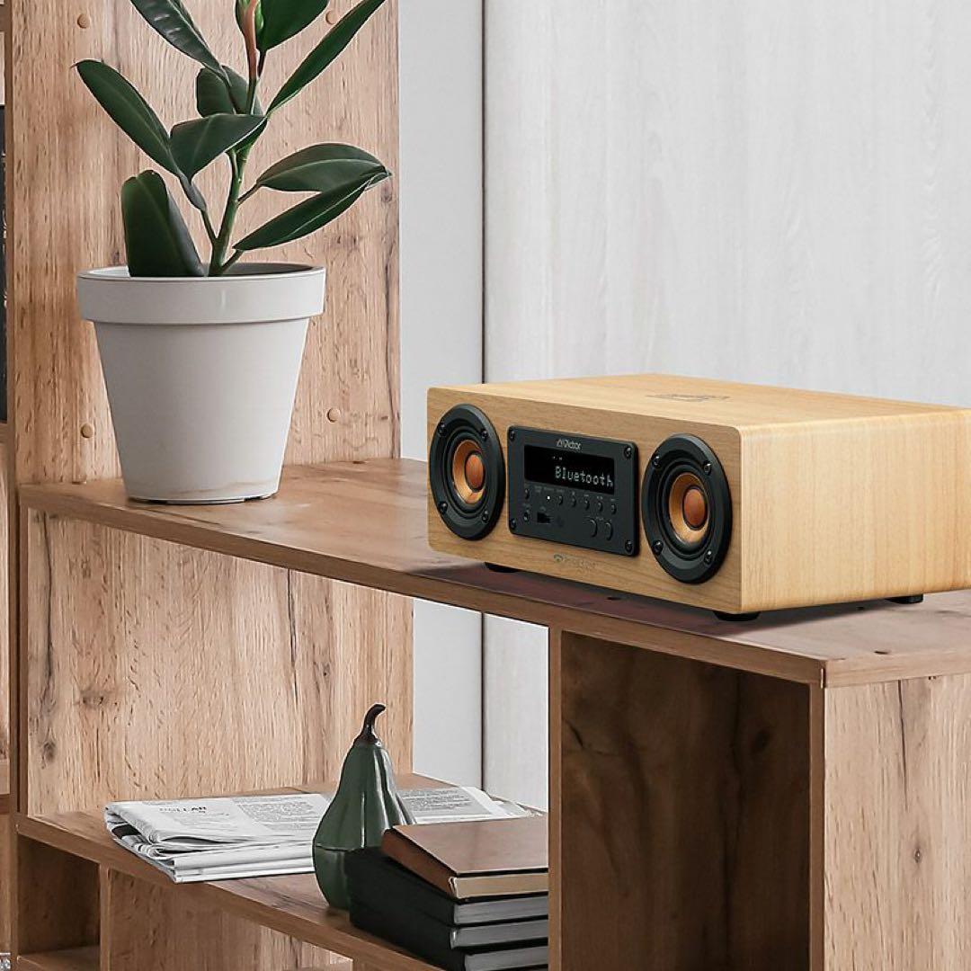 JVCケンウッド Victor EX-DM10 スピーカー