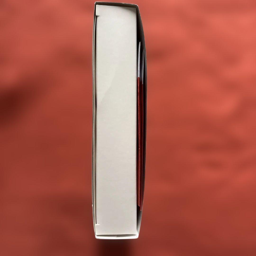 楽ちんヒアリング 充電式集音器