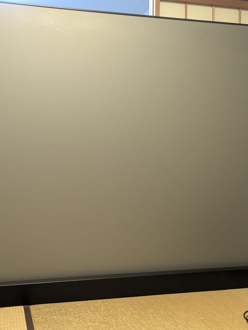 VIVID STORM SINCE 2004 100インチ