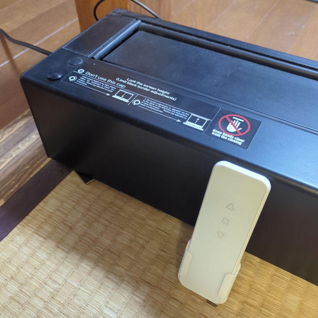 VIVID STORM SINCE 2004 100インチ