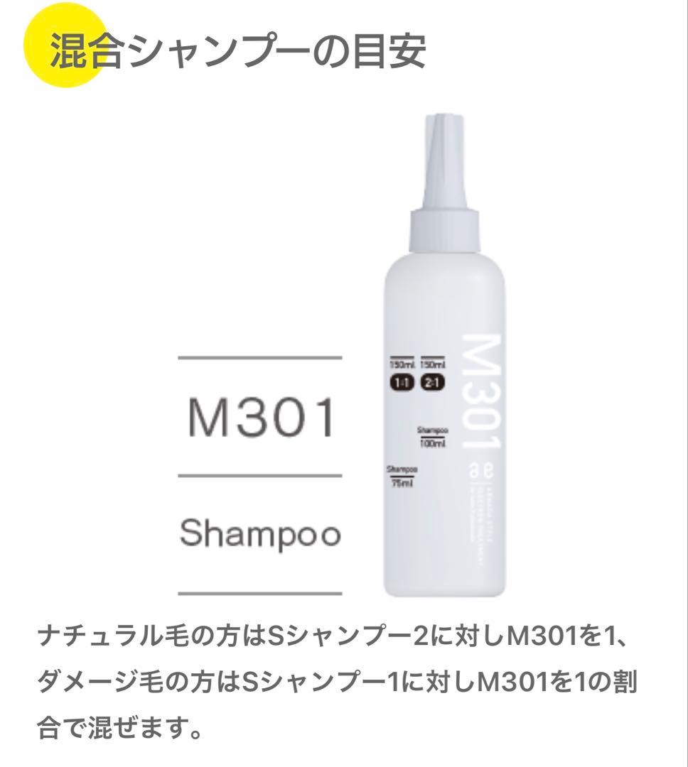 M 301 エレクトロン・トリートメント 1000mL