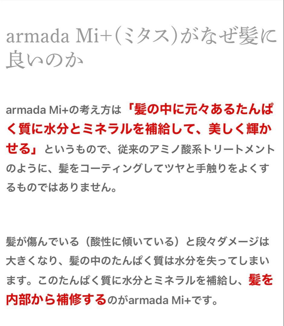 M 301 エレクトロン・トリートメント 1000mL